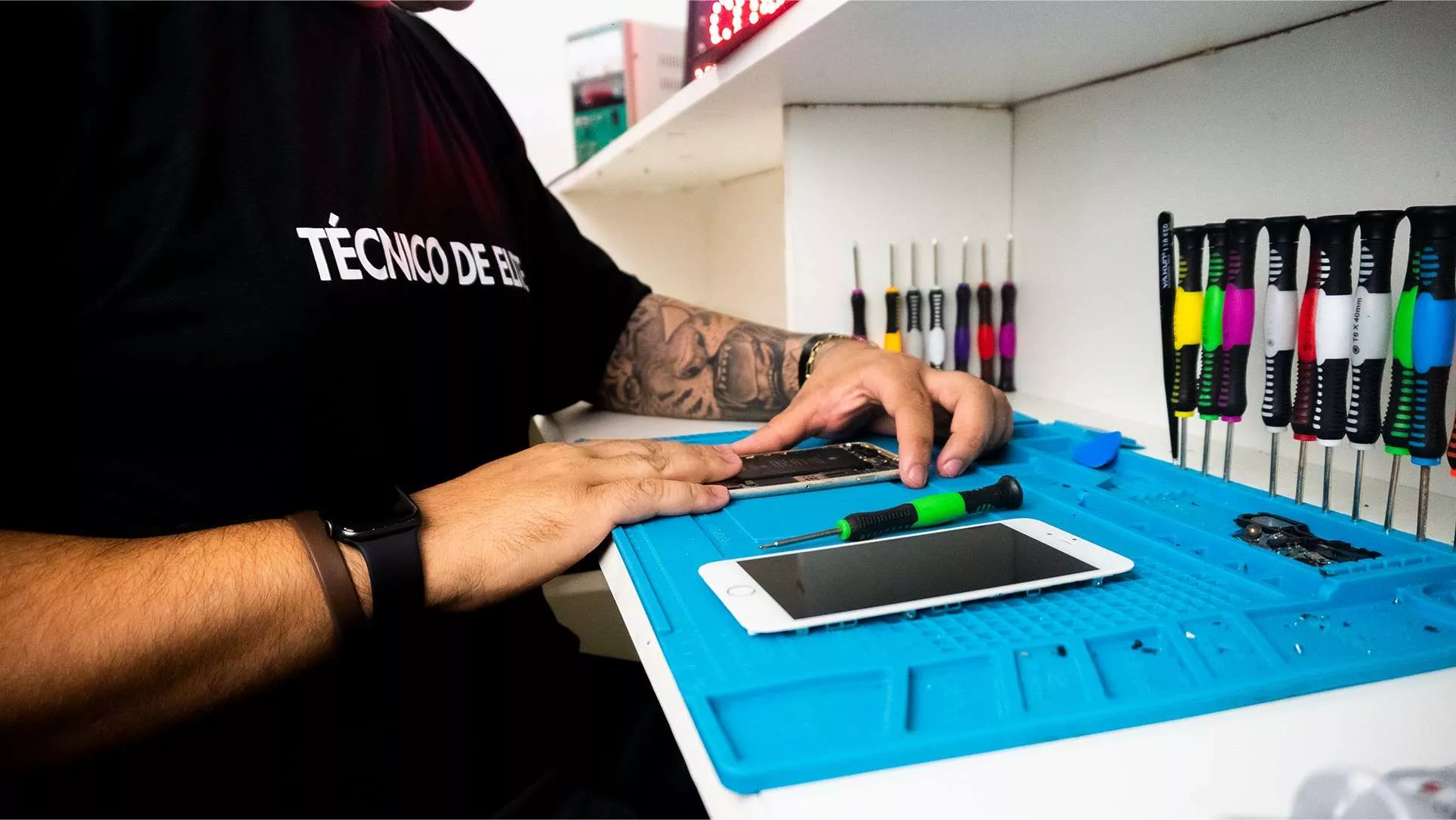 Eduardo Furtado - Técnico Especialista